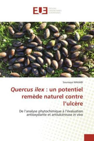 Quercus ilex : un potentiel remède naturel contre l'ulcère