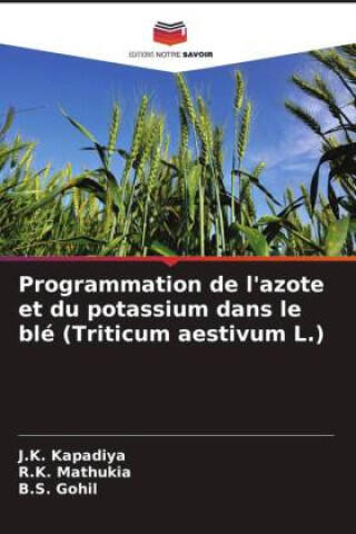 Programmation de l'azote et du potassium dans le blé (Triticum aestivum L.)