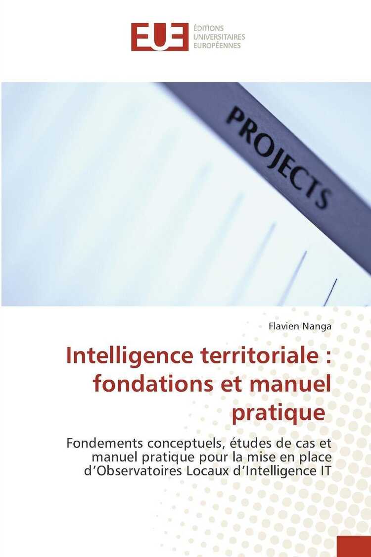 Intelligence territoriale : fondations et manuel pratique