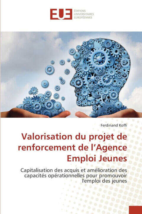 Valorisation du projet de renforcement de l'Agence Emploi Jeunes — Ferdinand Koffi