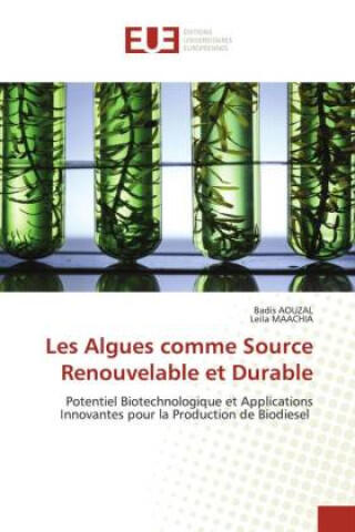 Les Algues comme Source Renouvelable et Durable