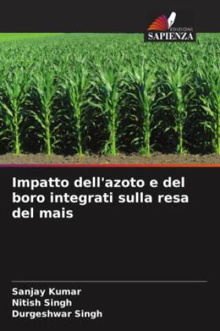 Impatto dell'azoto e del boro integrati sulla resa del mais