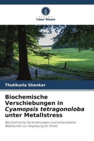 Biochemische Verschiebungen in Cyamopsis tetragonoloba unter Metallstress