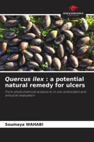 Quercus ilex : a potential natural remedy for ulcers