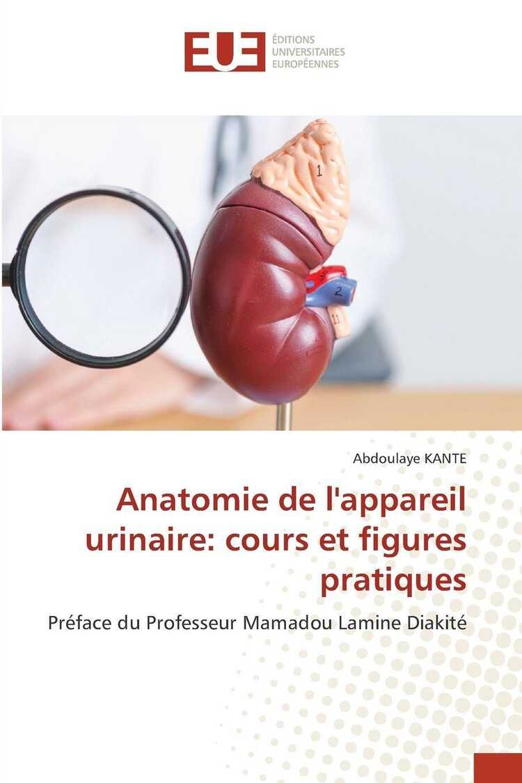 Anatomie de l'appareil urinaire: cours et figures pratiques — Abdoulaye Kanté