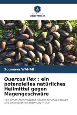 Quercus ilex : ein potenzielles natürliches Heilmittel gegen Magengeschwüre