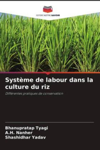 Système de labour dans la culture du riz