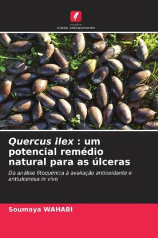 Quercus ilex : um potencial remédio natural para as úlceras