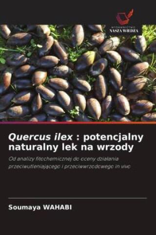 Quercus ilex : potencjalny naturalny lek na wrzody