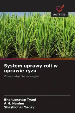 System uprawy roli w uprawie ryzu