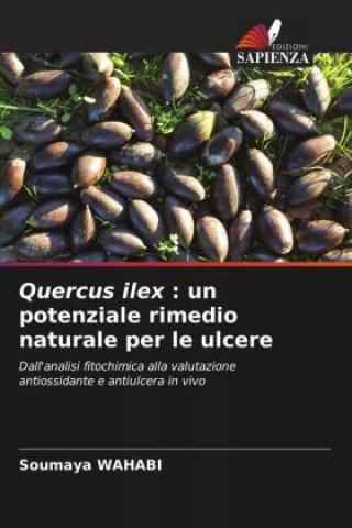 Quercus ilex : un potenziale rimedio naturale per le ulcere