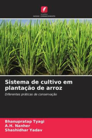 Sistema de cultivo em plantação de arroz