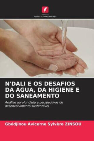 N'dali e Os Desafios da Água, da Higiene e Do Saneamento — Gbédjinou Avicerne Sylvère ZINSOU