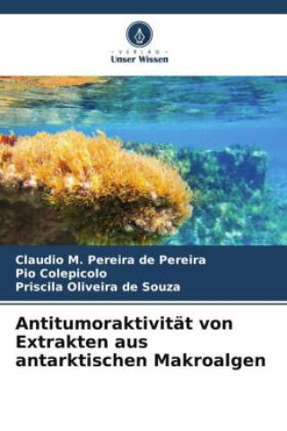 Antitumoraktivität von Extrakten aus antarktischen Makroalgen