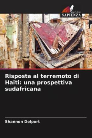 Risposta al terremoto di Haiti: una prospettiva sudafricana