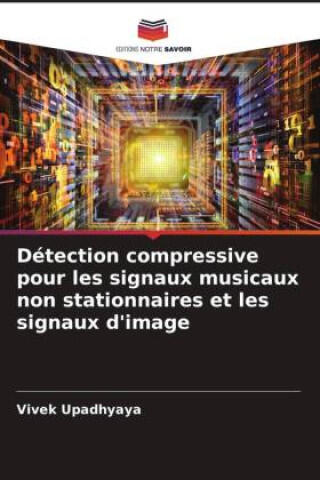 Détection compressive pour les signaux musicaux non stationnaires et les signaux d'image