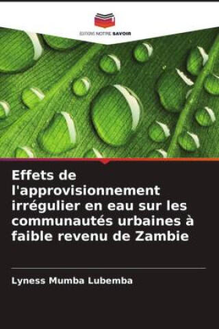 Effets de l'approvisionnement irrégulier en eau sur les communautés urbaines à faible revenu de Zambie