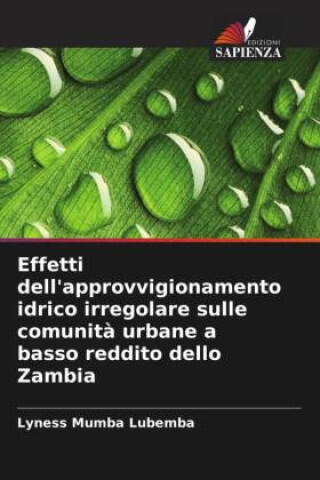 Effetti dell'approvvigionamento idrico irregolare sulle comunità urbane a basso reddito dello Zambia