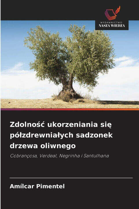 Zdolno¿¿ ukorzeniania si¿ pó¿zdrewnia¿ych sadzonek drzewa oliwnego