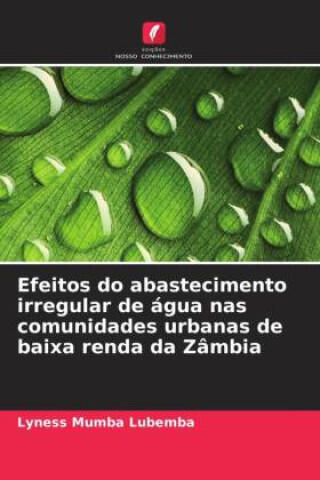 Efeitos do abastecimento irregular de água nas comunidades urbanas de baixa renda da Zâmbia