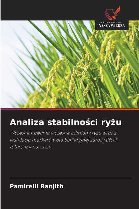 Analiza stabilnosci ryzu