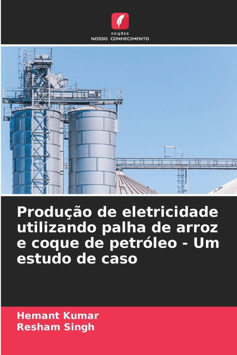 Produção de eletricidade utilizando palha de arroz e coque de petróleo - Um estudo de caso