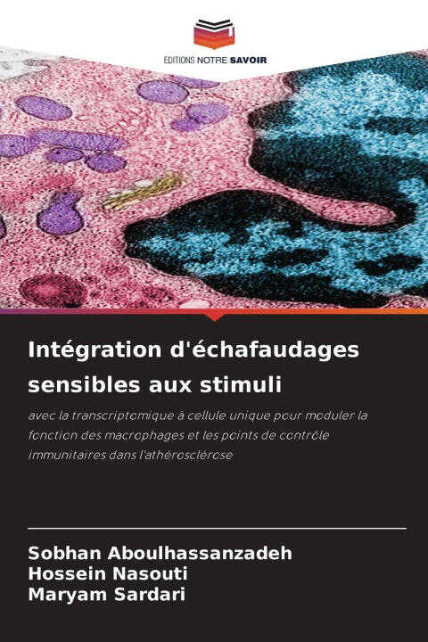 Intégration d'échafaudages sensibles aux stimuli — Sobhan Aboulhassanzadeh