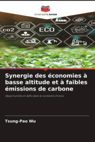 Synergie des économies à basse altitude et à faibles émissions de carbone