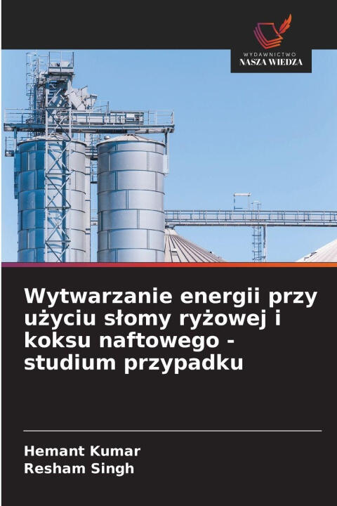 Wytwarzanie energii przy uzyciu slomy ryzowej i koksu naftowego - studium przypadku