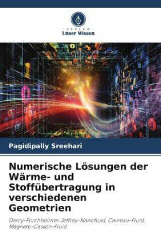 Numerische Lösungen der Wärme- und Stoffübertragung in verschiedenen Geometrien