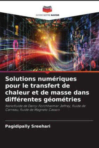 Solutions numériques pour le transfert de chaleur et de masse dans différentes géométries