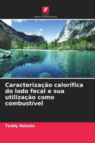 Caracterização calorífica do lodo fecal e sua utilização como combustível