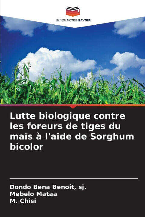 Lutte biologique contre les foreurs de tiges du maïs à l'aide de Sorghum bicolor