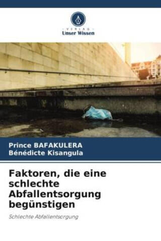 Faktoren, die eine schlechte Abfallentsorgung begünstigen