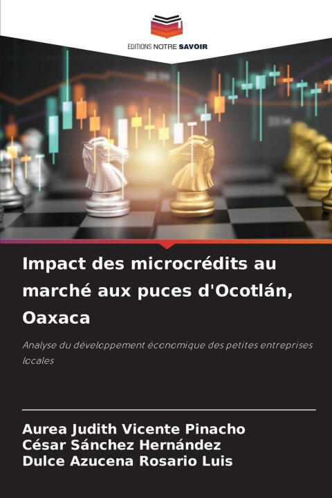 Impact des microcrédits au marché aux puces d'Ocotlán, Oaxaca — Aurea Judith Vicente Pinacho