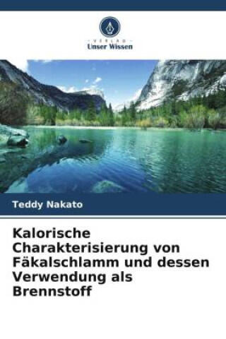 Kalorische Charakterisierung von Fäkalschlamm und dessen Verwendung als Brennstoff