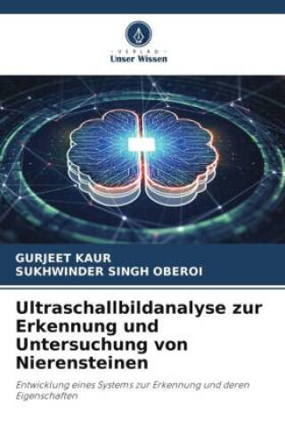 Ultraschallbildanalyse zur Erkennung und Untersuchung von Nierensteinen