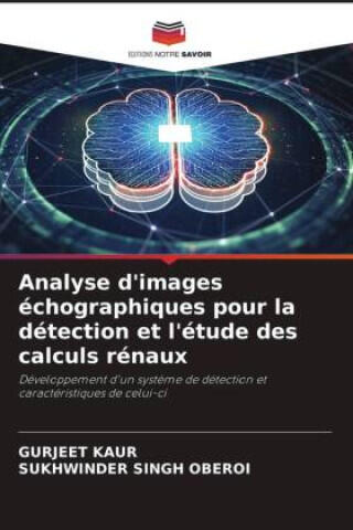 Analyse d'images échographiques pour la détection et l'étude des calculs rénaux