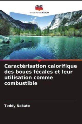 Caractérisation calorifique des boues fécales et leur utilisation comme combustible
