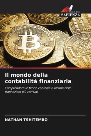 Il mondo della contabilità finanziaria