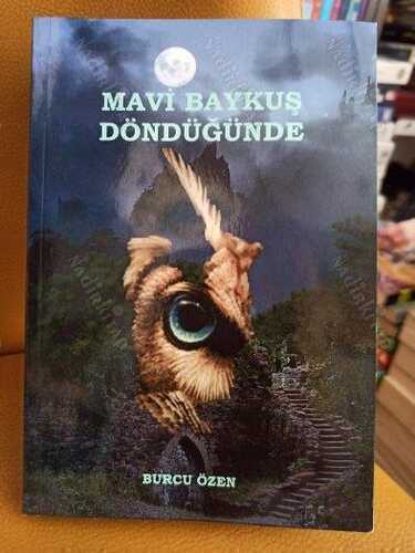 Mavi Baykuş Döndüğünde