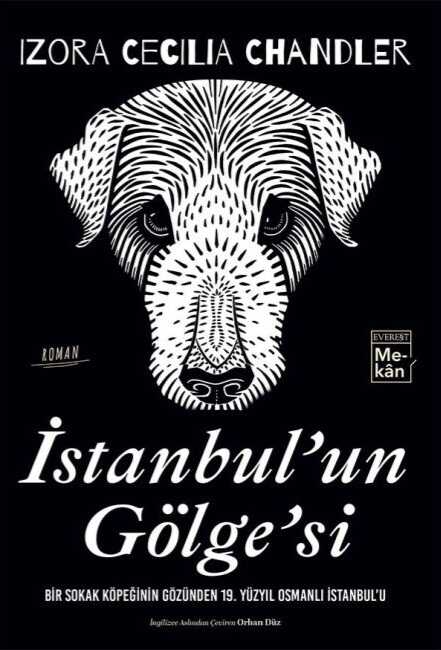 İstanbul'un Gölge'si  Bir Sokak Köpeğinin Gözünden 19. Yüzyıl Osmanlı İstanbul'u
