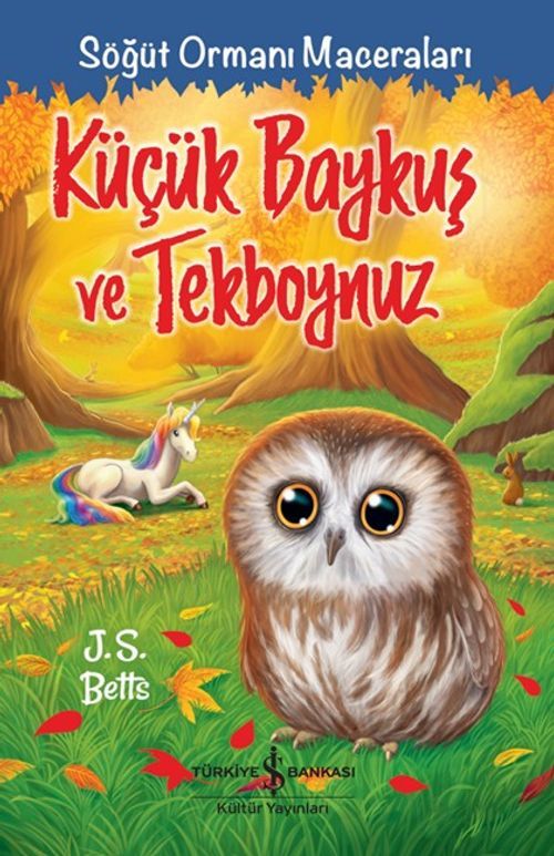 Küçük Baykuş ve Tekboynuz
