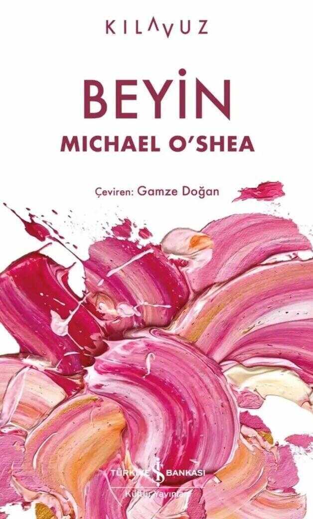 Beyin