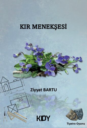 Kır Menekşesi