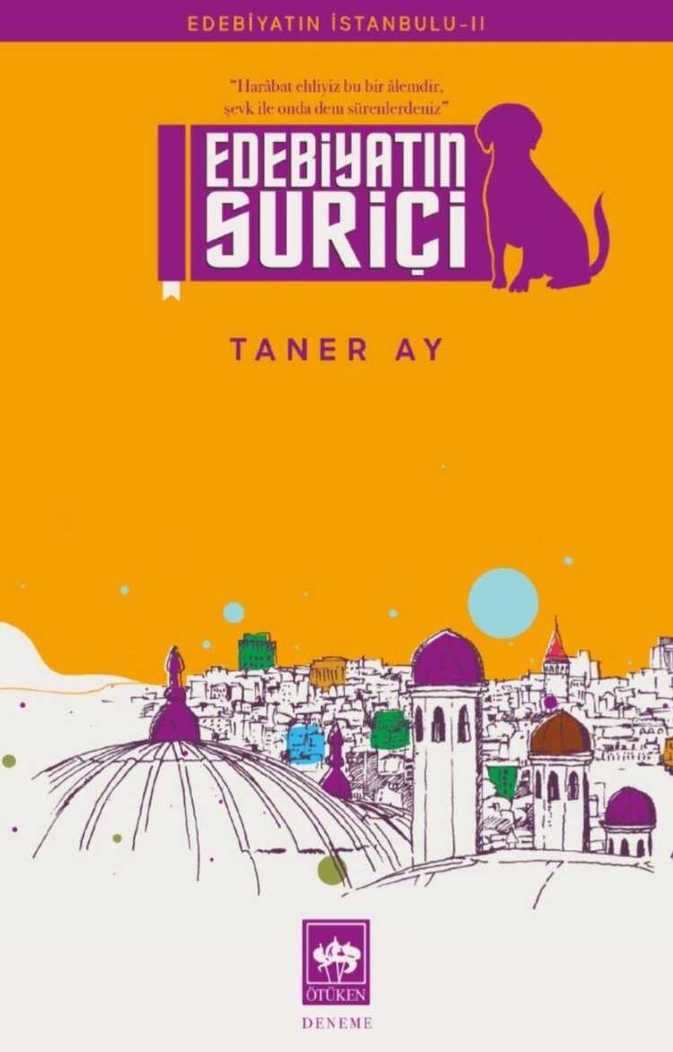 Edebiyatın Suriçi