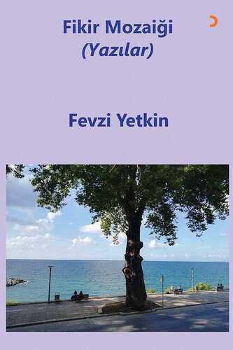 Fikir Mozaiği