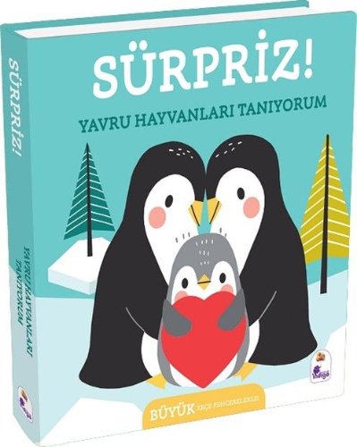 Sürpriz! / Yavru Hayvanları Tanıyorum