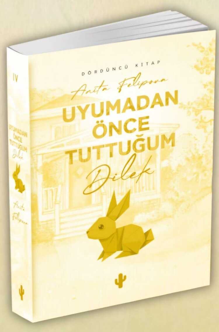 Uyumadan Önce Tuttuğum Dilek 4
