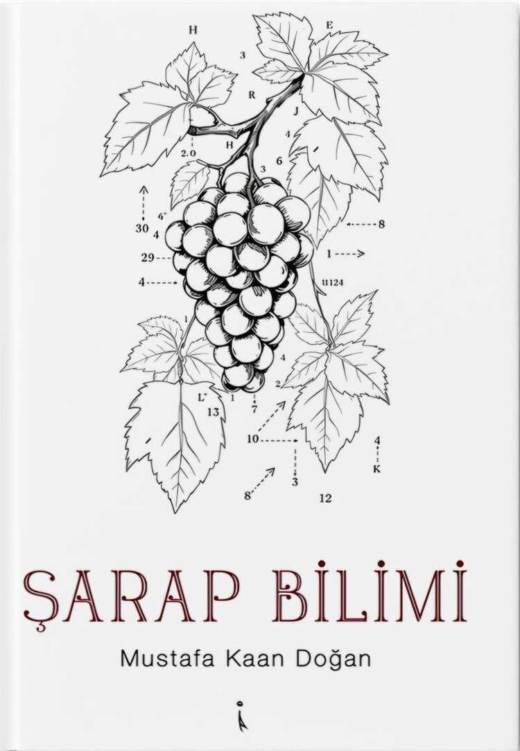 Şarap Bilimi